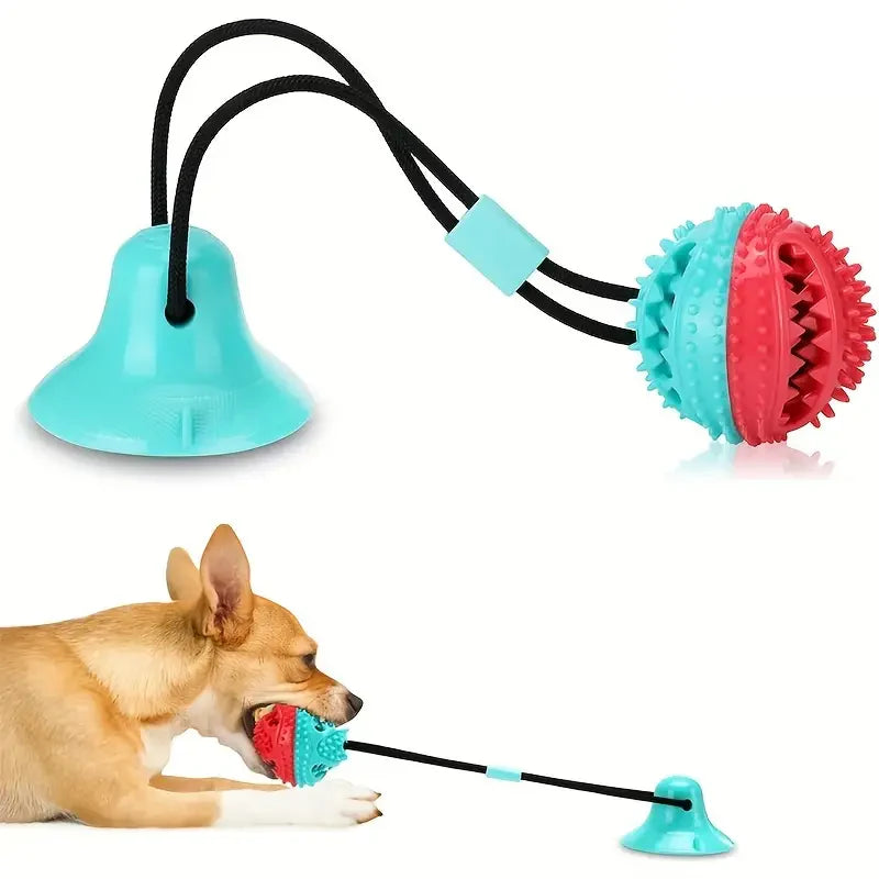 Interactive Suction Cup Tug Toy for Dog