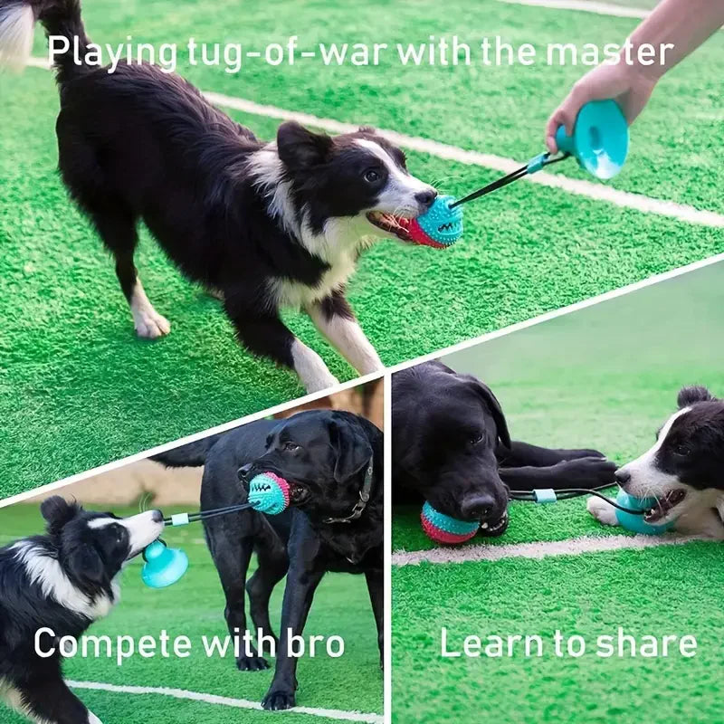 Interactive Suction Cup Tug Toy for Dog